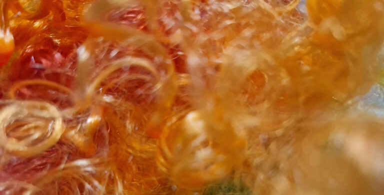 Parrucca escape room Bergamo Parrucca ecape rooom Bergamo