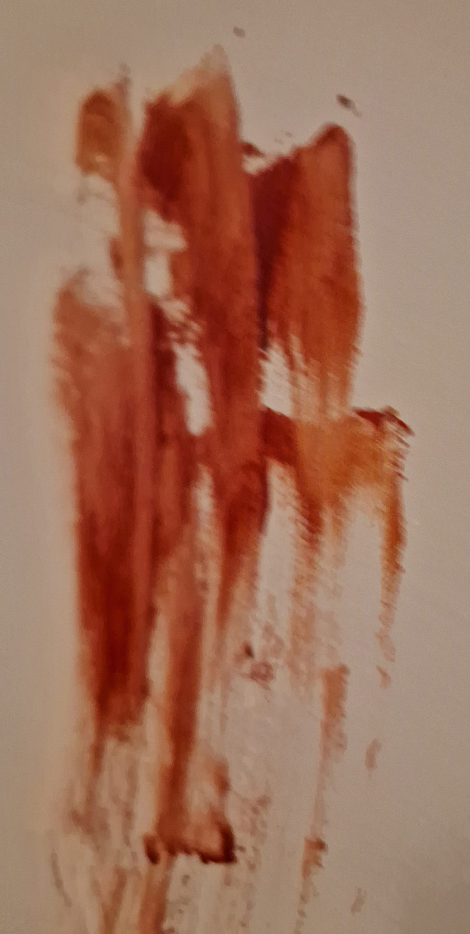 Parete Escape Room Hannibal Parete Escape Room Hannibal